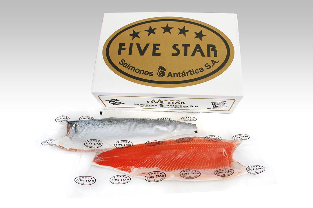 Trucha Trout Steelhead Box Trim A Five Star